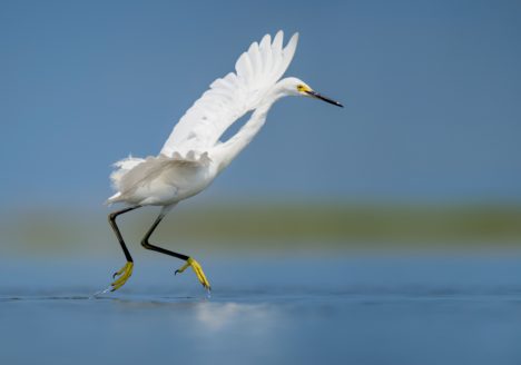 jak doceniać siebie i innych