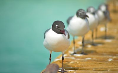 aplikacje na codzień skrzynka mailowa